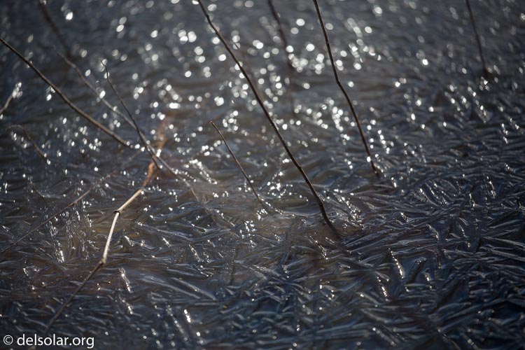 Canon EOS 5D Mark III  --  400 mm  --  EF100-400mm f/4.5-5.6L IS II USM  