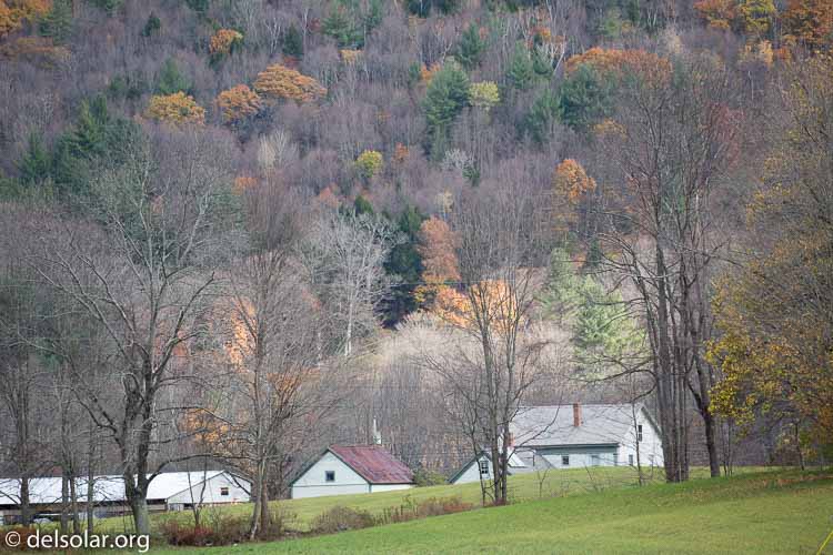 Canon EOS 5D Mark III  --  248 mm  --  EF100-400mm f/4.5-5.6L IS II USM  