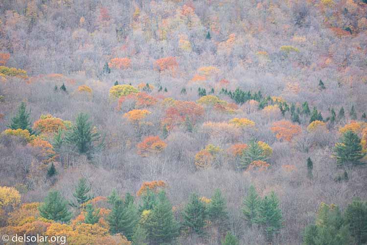 Canon EOS 5D Mark III  --  271 mm  --  EF100-400mm f/4.5-5.6L IS II USM  