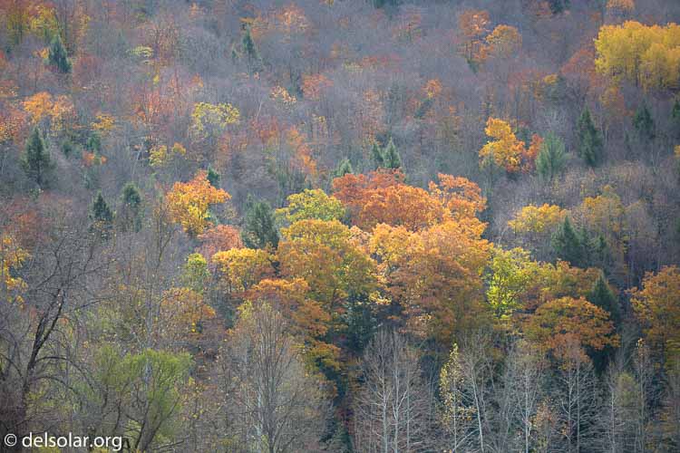 Canon EOS 5D Mark III  --  182 mm  --  EF100-400mm f/4.5-5.6L IS II USM  