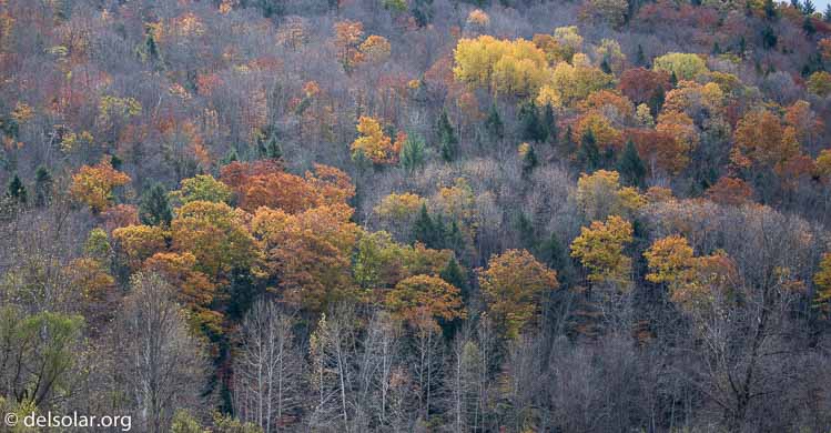 Canon EOS 5D Mark III  --  120 mm  --  EF100-400mm f/4.5-5.6L IS II USM  