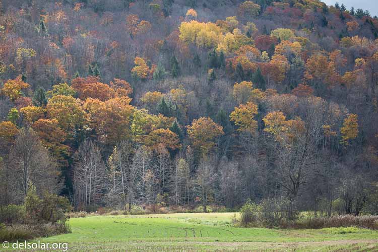 Canon EOS 5D Mark III  --  135 mm  --  EF100-400mm f/4.5-5.6L IS II USM  