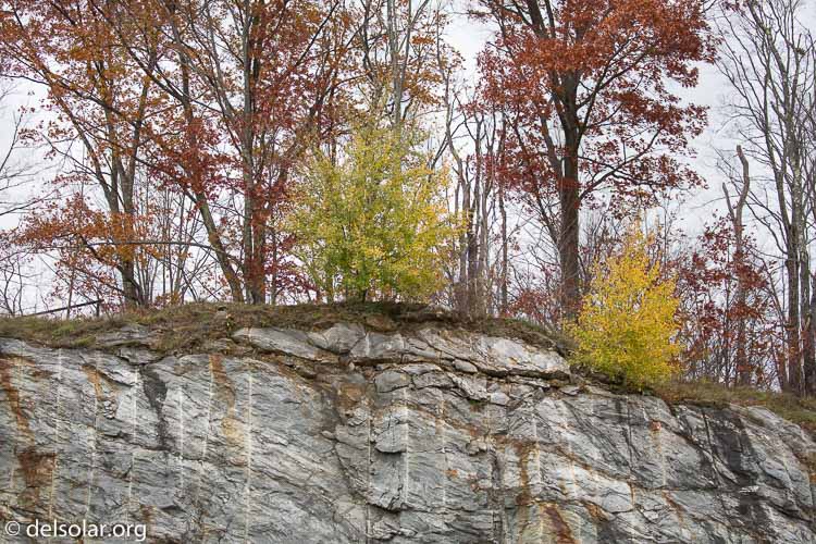 Canon EOS 5D Mark III  --  100 mm  --  EF100-400mm f/4.5-5.6L IS II USM  