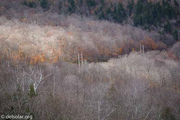 Canon EOS 5D Mark III  --  200 mm  --  EF100-400mm f/4.5-5.6L IS II USM  