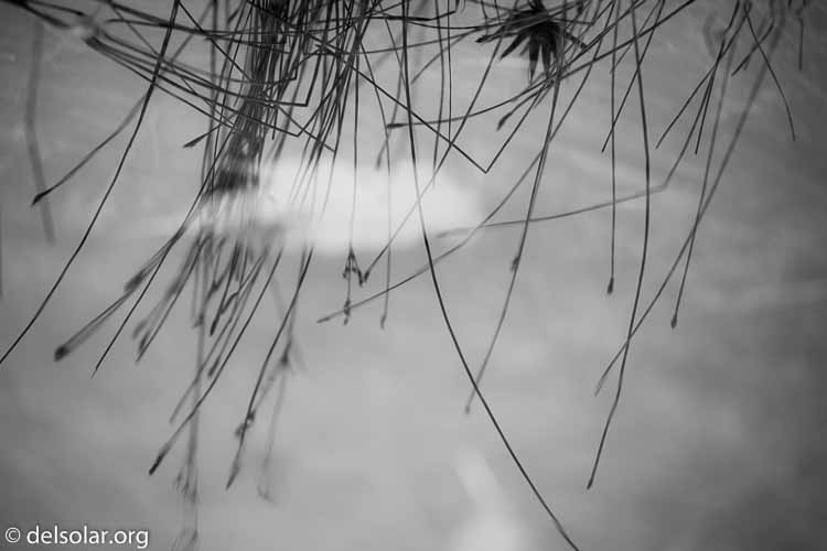 Canon EOS 5D Mark III  --  400 mm  --  EF100-400mm f/4.5-5.6L IS II USM  