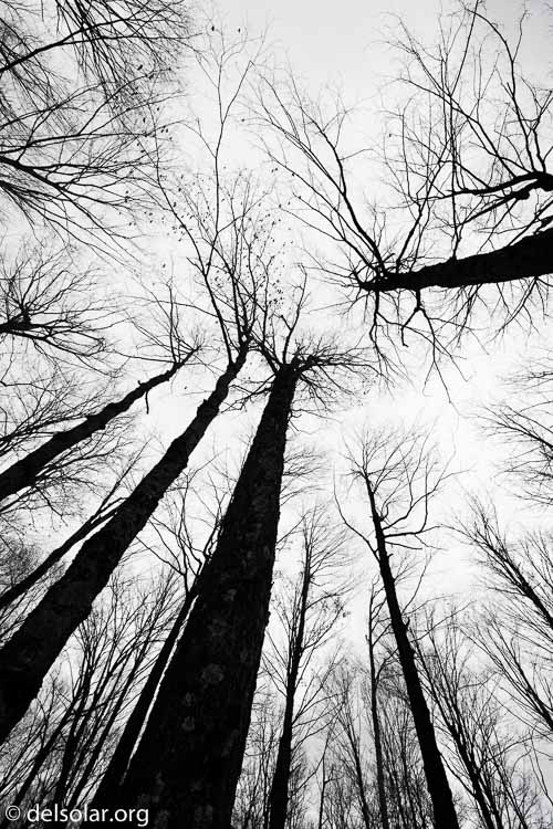 Canon EOS 5D Mark III  --  16 mm  --  EF16-35mm f/4L IS USM  