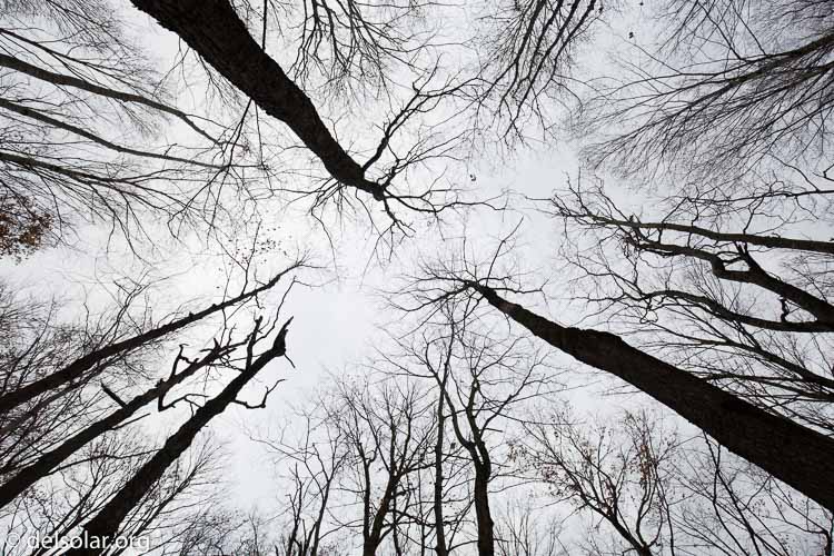 Canon EOS 5D Mark III  --  16 mm  --  EF16-35mm f/4L IS USM  