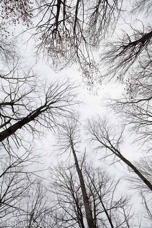 Canon EOS 5D Mark III  --  20 mm  --  EF16-35mm f/4L IS USM  