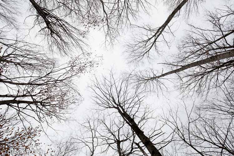 Canon EOS 5D Mark III  --  20 mm  --  EF16-35mm f/4L IS USM  