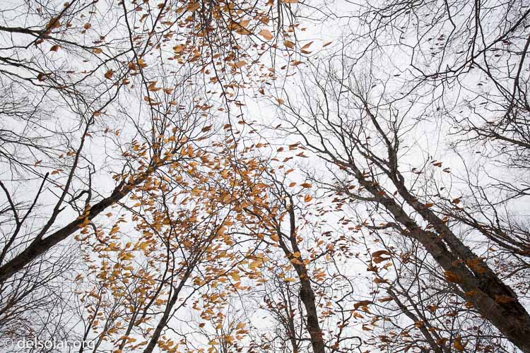 Canon EOS 5D Mark III  --  18 mm  --  EF16-35mm f/4L IS USM  