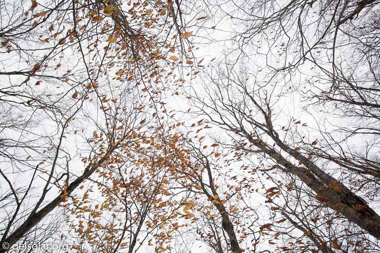 Canon EOS 5D Mark III  --  16 mm  --  EF16-35mm f/4L IS USM  