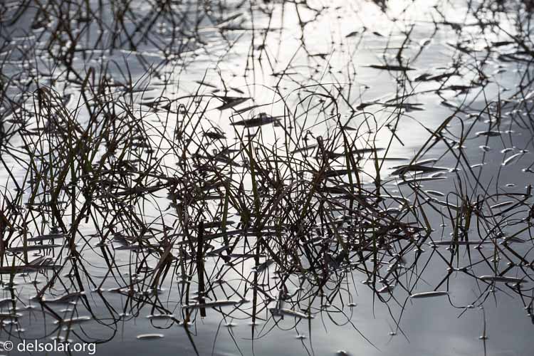 Canon EOS 5D Mark III  --  241 mm  --  EF100-400mm f/4.5-5.6L IS II USM  