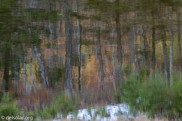 Canon EOS 5D Mark III  --  100 mm  --  EF100-400mm f/4.5-5.6L IS II USM  