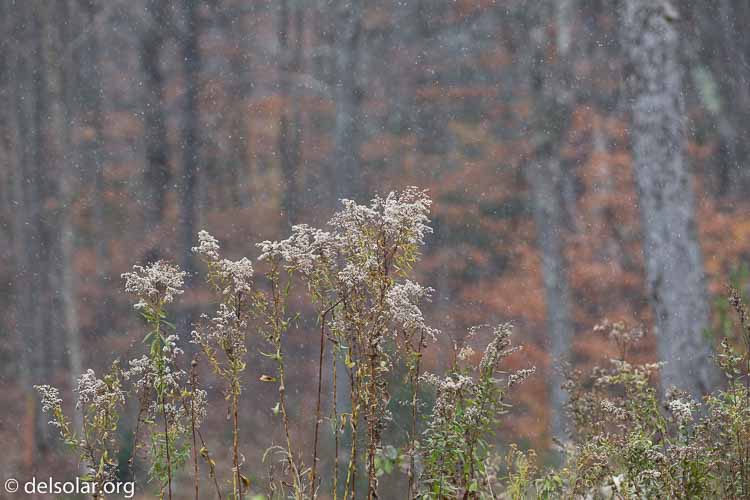 Canon EOS 5D Mark III  --  227 mm  --  EF100-400mm f/4.5-5.6L IS II USM  