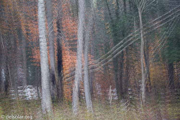 Canon EOS 5D Mark III  --  135 mm  --  EF100-400mm f/4.5-5.6L IS II USM  