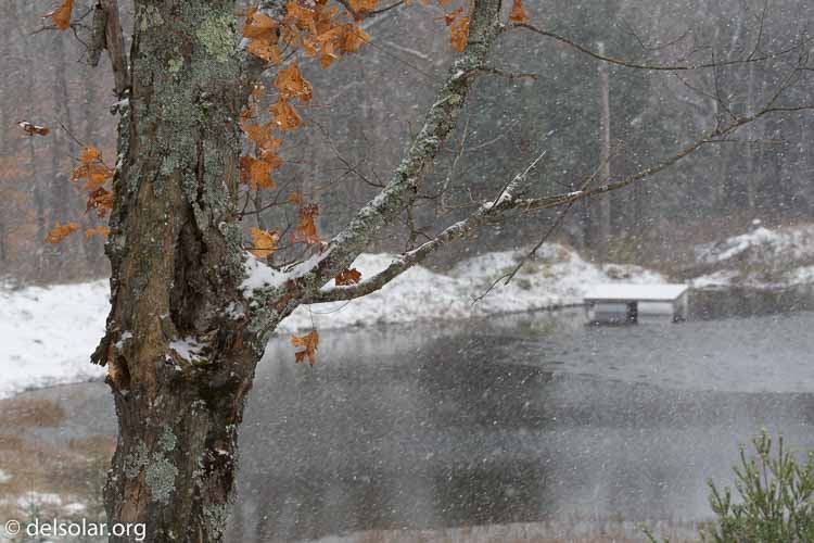 Canon EOS 5D Mark III  --  148 mm  --  EF100-400mm f/4.5-5.6L IS II USM  