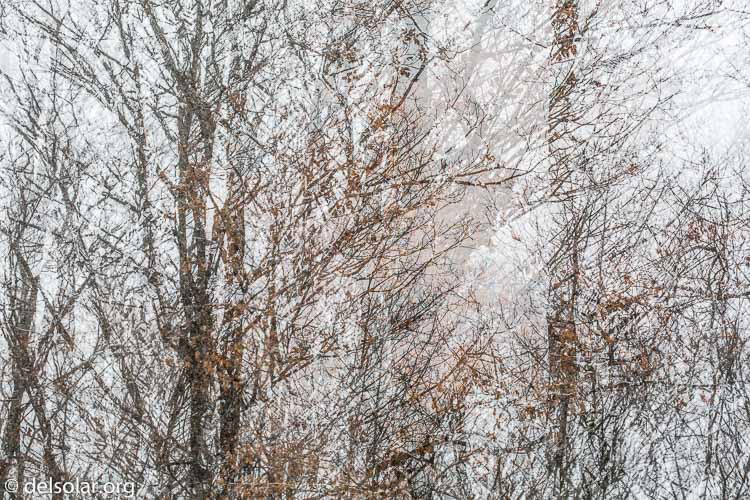 Canon EOS 5D Mark III  --  188 mm  --  EF100-400mm f/4.5-5.6L IS II USM  