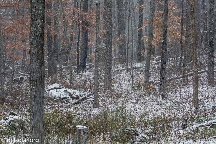 Canon EOS 5D Mark III  --  176 mm  --  EF100-400mm f/4.5-5.6L IS II USM  