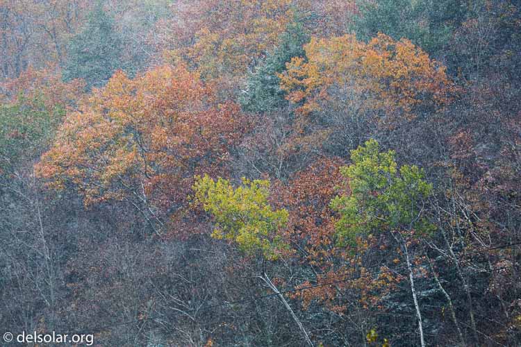 Canon EOS 5D Mark III  --  142 mm  --  EF100-400mm f/4.5-5.6L IS II USM  