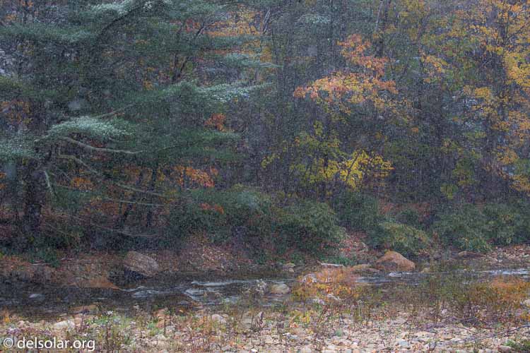 Canon EOS 5D Mark III  --  100 mm  --  EF100-400mm f/4.5-5.6L IS II USM  