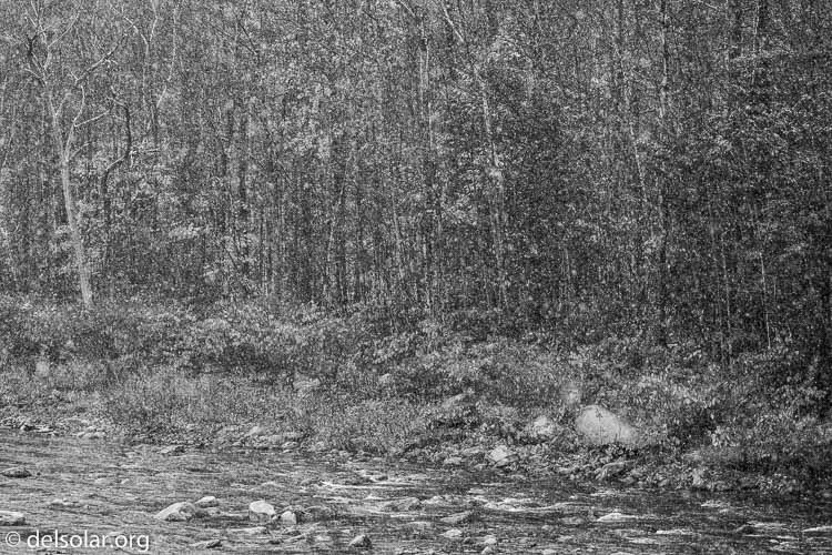 Canon EOS 5D Mark III  --  106 mm  --  EF100-400mm f/4.5-5.6L IS II USM  