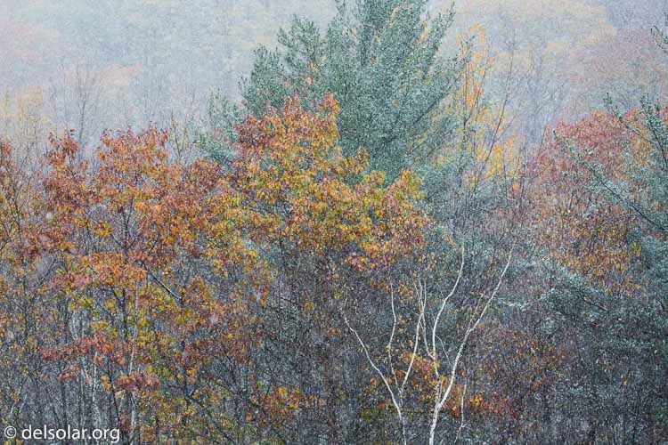 Canon EOS 5D Mark III  --  135 mm  --  EF100-400mm f/4.5-5.6L IS II USM  