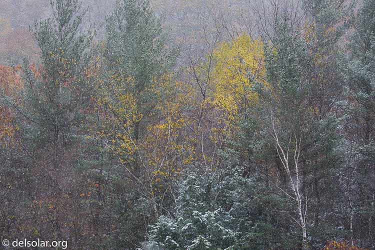 Canon EOS 5D Mark III  --  100 mm  --  EF100-400mm f/4.5-5.6L IS II USM  