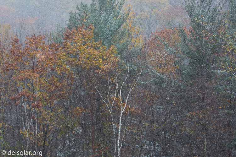 Canon EOS 5D Mark III  --  100 mm  --  EF100-400mm f/4.5-5.6L IS II USM  