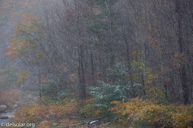 Canon EOS 5D Mark III  --  200 mm  --  EF100-400mm f/4.5-5.6L IS II USM  