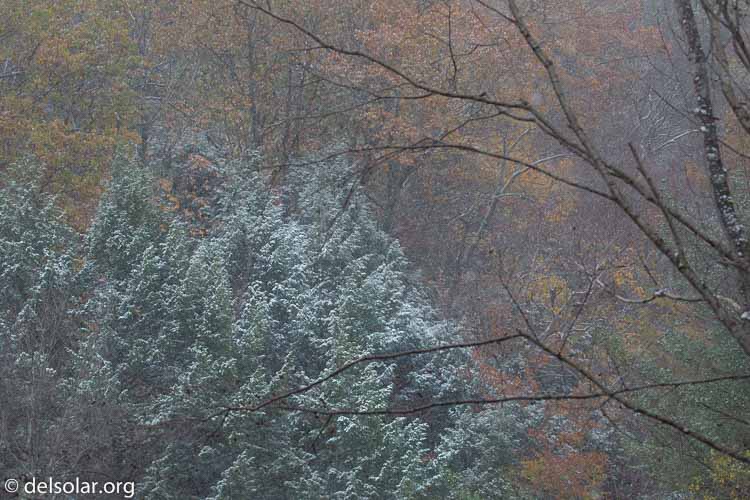 Canon EOS 5D Mark III  --  142 mm  --  EF100-400mm f/4.5-5.6L IS II USM  