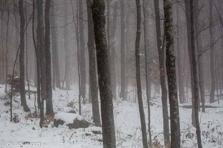 Canon EOS 5D Mark III  --  148 mm  --  EF100-400mm f/4.5-5.6L IS II USM  