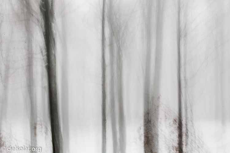 Canon EOS 5D Mark III  --  107 mm  --  EF100-400mm f/4.5-5.6L IS II USM  