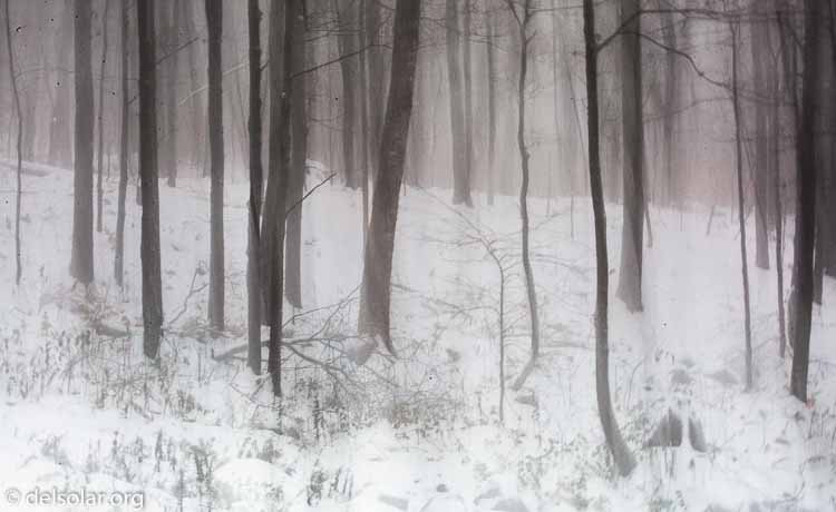 Canon EOS 5D Mark III  --  100 mm  --  EF100-400mm f/4.5-5.6L IS II USM  