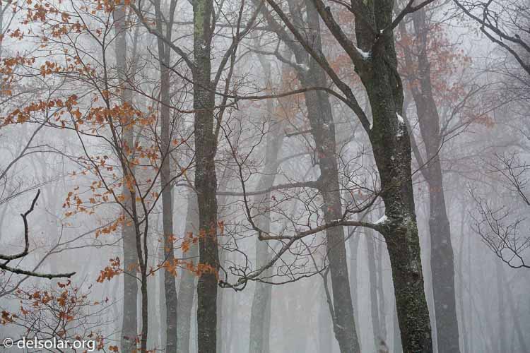 Canon EOS 5D Mark III  --  142 mm  --  EF100-400mm f/4.5-5.6L IS II USM  