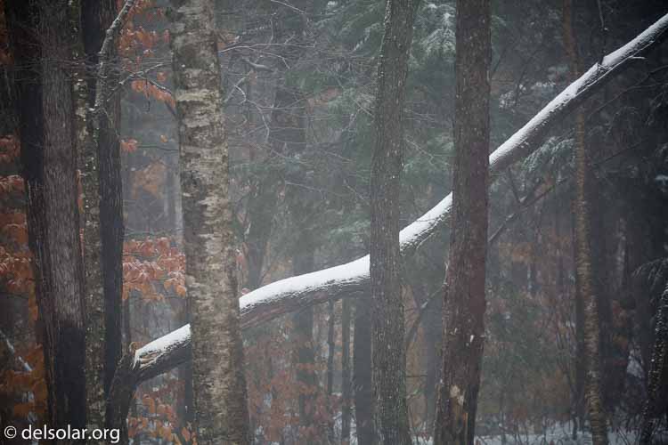 Canon EOS 5D Mark III  --  234 mm  --  EF100-400mm f/4.5-5.6L IS II USM  