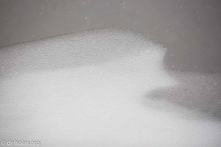 Canon EOS 5D Mark III  --  271 mm  --  EF100-400mm f/4.5-5.6L IS II USM  