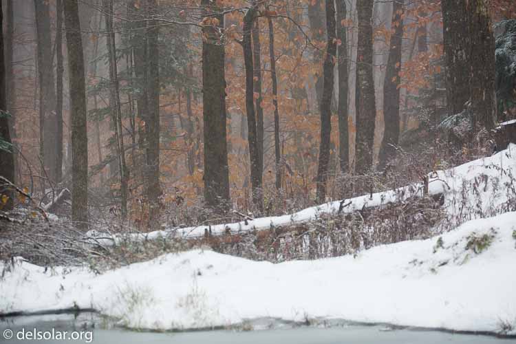 Canon EOS 5D Mark III  --  200 mm  --  EF100-400mm f/4.5-5.6L IS II USM  