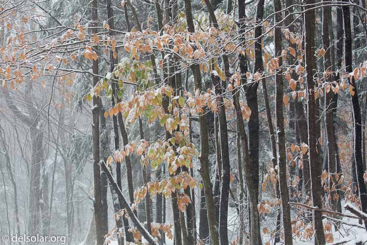 Canon EOS 5D Mark III  --  117 mm  --  EF100-400mm f/4.5-5.6L IS II USM  