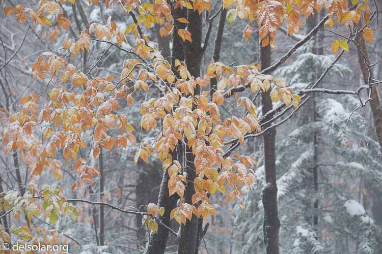 Canon EOS 5D Mark III  --  227 mm  --  EF100-400mm f/4.5-5.6L IS II USM  