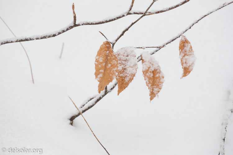 Canon EOS 5D Mark III  --  349 mm  --  EF100-400mm f/4.5-5.6L IS II USM  