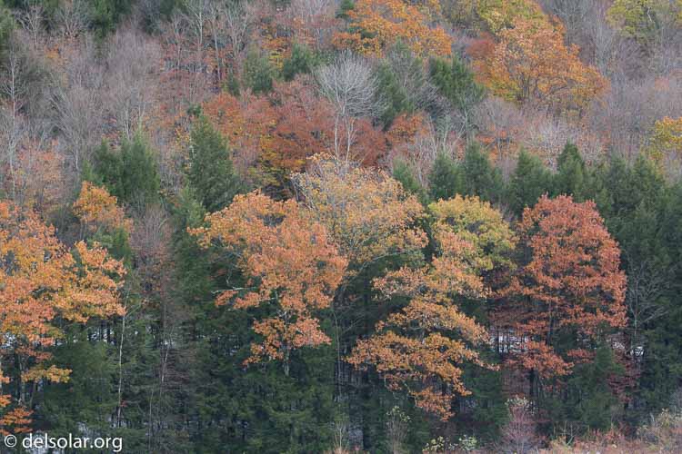 Canon EOS 5D Mark III  --  117 mm  --  EF100-400mm f/4.5-5.6L IS II USM  