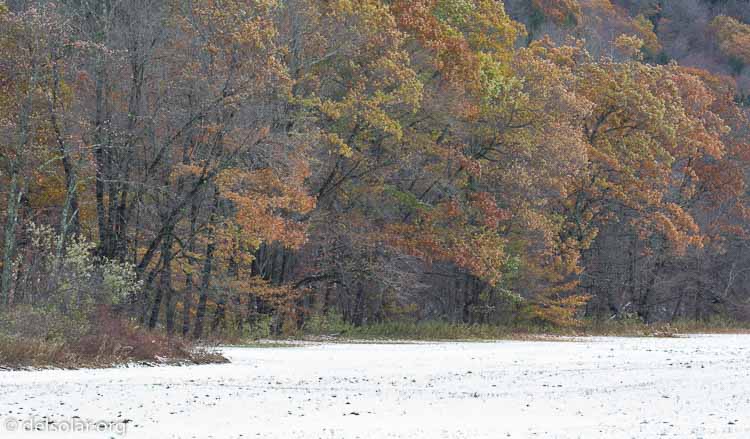 Canon EOS 5D Mark III  --  214 mm  --  EF100-400mm f/4.5-5.6L IS II USM  