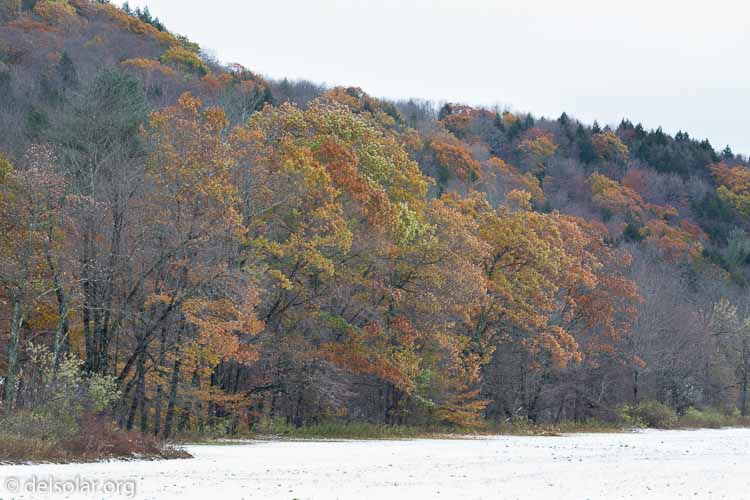 Canon EOS 5D Mark III  --  176 mm  --  EF100-400mm f/4.5-5.6L IS II USM  