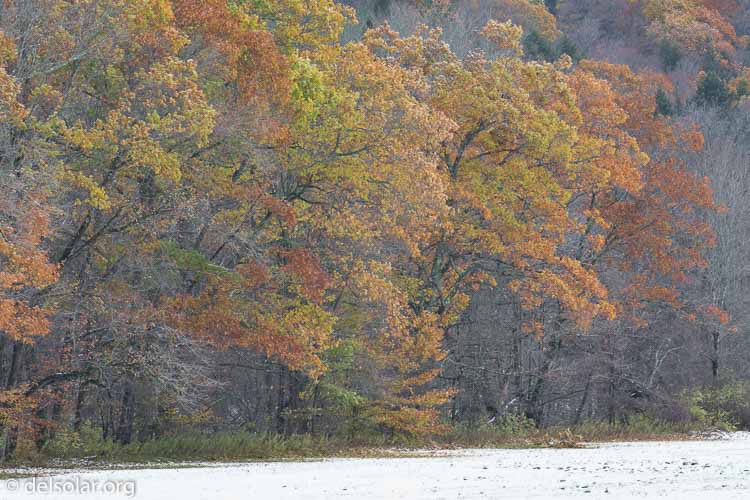 Canon EOS 5D Mark III  --  312 mm  --  EF100-400mm f/4.5-5.6L IS II USM  