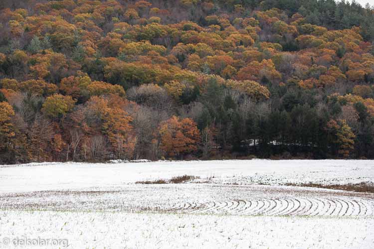 Canon EOS 5D Mark III  --  114 mm  --  EF100-400mm f/4.5-5.6L IS II USM  