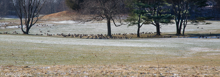 Canon EOS 5D Mark III  --  105 mm  --  EF24-105mm f/4L IS USM  