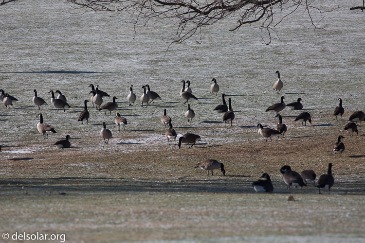 Canon EOS 5D Mark III  --  400 mm  --  EF400mm f/5.6L USM  