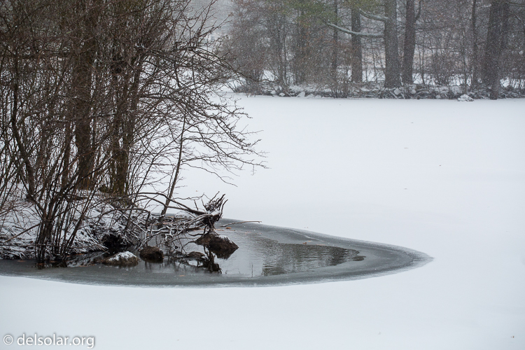 Canon EOS 5D Mark III  --  104 mm  --  EF70-200mm f/4L USM  