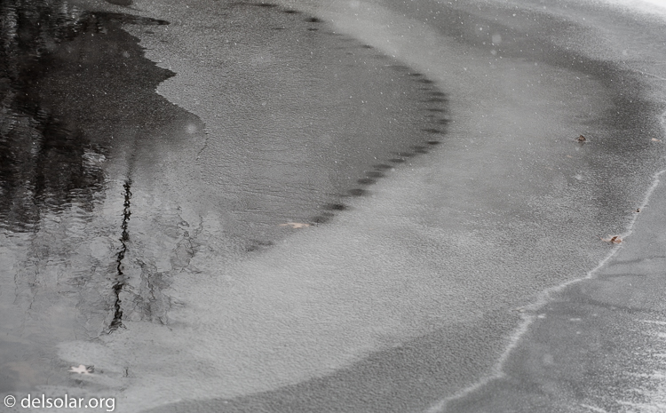 Canon EOS 5D Mark III  --  122 mm  --  EF70-200mm f/4L USM  