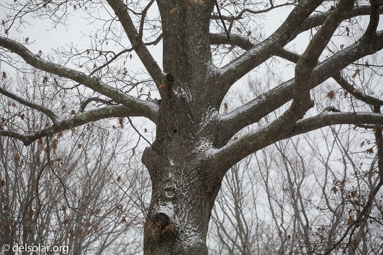 Canon EOS 5D Mark III  --  126 mm  --  EF70-200mm f/4L USM  